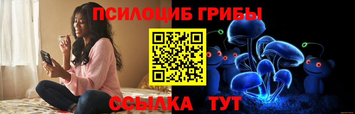Новоуральск  Псилоцибиновые грибы GOLDEN TEACHER  Вход с VPN 